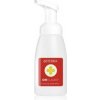 doTERRA On Guard Foaming Hand Wash Dispenser