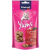 Vitakraft Cat yums kačka + baza 40 g