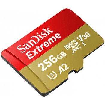 SanDisk microSDXC 256GB SDSQXAV-256G-GN6MA