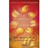 El círculo de fuego (MIGUEL RUIZ)(Brožovaná)