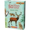 Mindok Expedice příroda: 50 lesních zvířat
