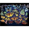 Zuty – Maľovanie Podľa Čísel – Farebné Motýle (D. Rusty Rust), 40 × 50 cm, Plátno + Rám 8596530159612