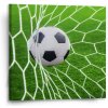 Sablio Obraz Futbalová lopta v bráne - 50x50 cm