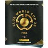 Panini Books Panini Fifa Club World Cup 2025 album na samolepky