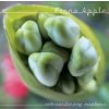 Apple Fiona - Extraordinary Machine [CD]