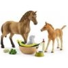 Schleich 42432 Súprava žriebä a štvrťkár so šteniatkom a príslušenstvom