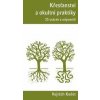 Křesťanství a okultní praktiky - Vojtěch Kodet