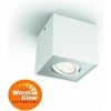 Philips 50491/31/P0 Box LED biele povrchové bodové svietidlo WGD 4,5W=500lm 2200-2700K