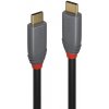 Lindy 36900 USB, USB 3.2 Gen2x2 USB-C ™ zástrčka, USB-C ™ zástrčka, 0.5m, černý, sivý