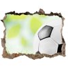 Foto fotografie díra na zeď Futbal 95x64 cm