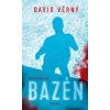 Bazén - David Věrný