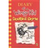 Diary of a Wimpy Kid: Double Down (Book 11) (Jeff Kinney)(Brožovaná)