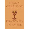 Dragonfly in Amber