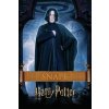 Plagát, Obraz - Harry Potter - Snape, 26.7 × 40 cm