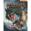Paizo Publishing Pathfinder RPG: Advanced Player's Guide (P2)
