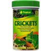 TROPICAL Sušené cvrčky 100ml/10g