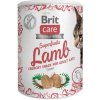 BRIT CARE Cat Snack Superfruits Lamb100g