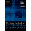 Oxford Handbook of Juvenile Crime and Juvenile Justice (Barry C. Feld,Donna M. Bishop)(Brožovaná)