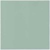 PAW AIRLAID Obrúsky Monocolor Light Green 50 ks 40x40cm