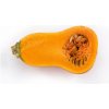 Tekvica maslová Honeynut - Cucurbita moschata - semená tekvica - 6 ks