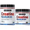 Survival Creatin Fair Power 500 g