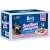 Brit Premium Cat Delicate Fillets in Gravy Family Plate Sterilised 12 x 85 g