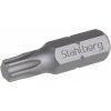 18823 Bit STAHLBERG T 8 25mm S2