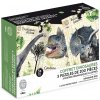 Vilac Súprava 3 puzzle dinosaurov