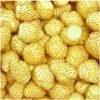 Jahoda mesačná Yellow Wonder - Fragaria vesca - semená - 0,1 g