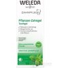 Weleda rastlinný zubný gél 75 ml