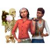 The Sims 4 Bundle (Seasons, Jungle Adventure, Spooky Stuff) – Xbox Digital
