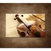 Obraz - Husle a slák 90x60cm