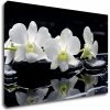 Impresi Obraz Biele orchidee na čiernom pozadí - 90 x 60 cm