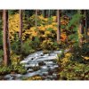 Diamondi Diamantové maľovanie - POTOK V LESE (DENNIS FRATES) Rámovanie: vypnuté plátno na rám, Rozmer: 40x50 cm