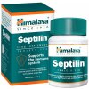 Himalaya Septilin 100 Tablets