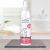 Platinum SKIN CLEAN + CARE Spray-Gel 250ml