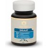 Shilajit (Mumio) zápaly, regenerácia Maharishi Ayurveda 60ks Obsah: 60 tabliet