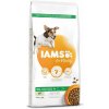 IAMS Dog Adult Small & Medium Lamb 12 kg