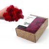KreaBox - Červený lišajník