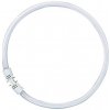 Osram Lineárna žiarivka kruhová, 2GX13, 22 W, Lumilux, teplá biela, 231 x 27 mm