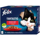 FELIX Fantastic DUO lahodný výber v želé 12 x 85 g