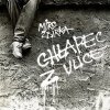 Chlapec z ulice - Žbirka Miroslav