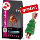 Eukanuba Boxer 12 kg