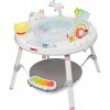 Skip Hop Aktívne centrum 3v1 Silver Linig Cloud