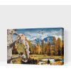 Vymalujsisam.sk Maľovanie podľa čísiel - Sova v lese Veľkosť: 40x60cm, Rám: Na plastovej doske