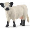 Schleich Gallowayská krava 4059433863993