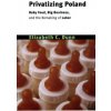 Privatizing Poland (Elizabeth C. Dunn)(Brožovaná)