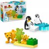 LEGO® DUPLO® 10442 Rodinky divokých zvierat: Tučniaky a levy