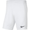 Pánska obuv Dry Park III NB K M BV6855 100 - Nike XL