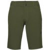 Mammut Hiking V Shorts Men